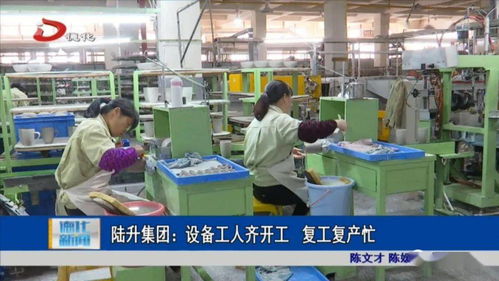 陸升集團 設備工人齊開工 復工復產忙